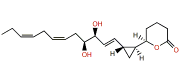 Constanolactone G